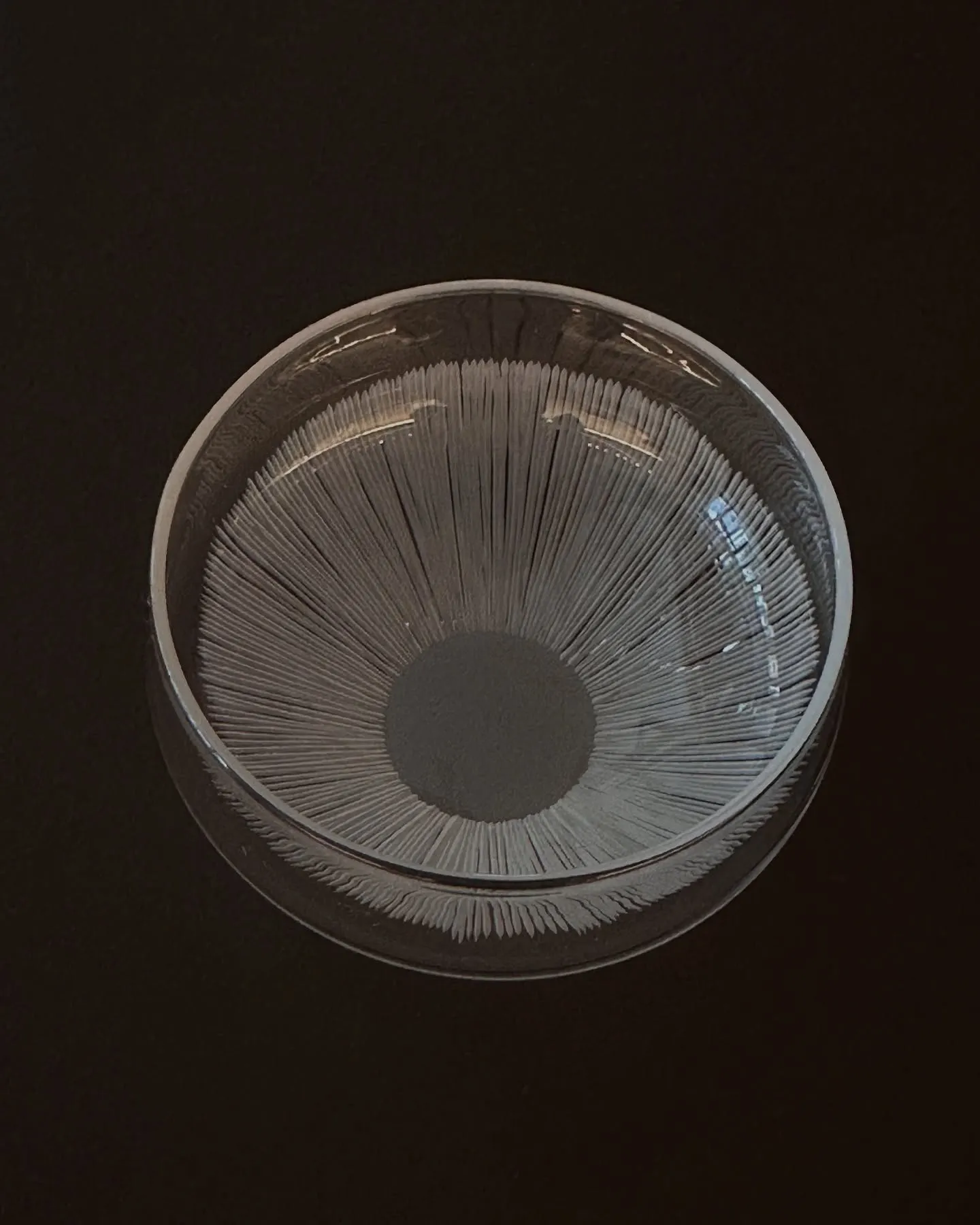 【日本酒ご紹介】