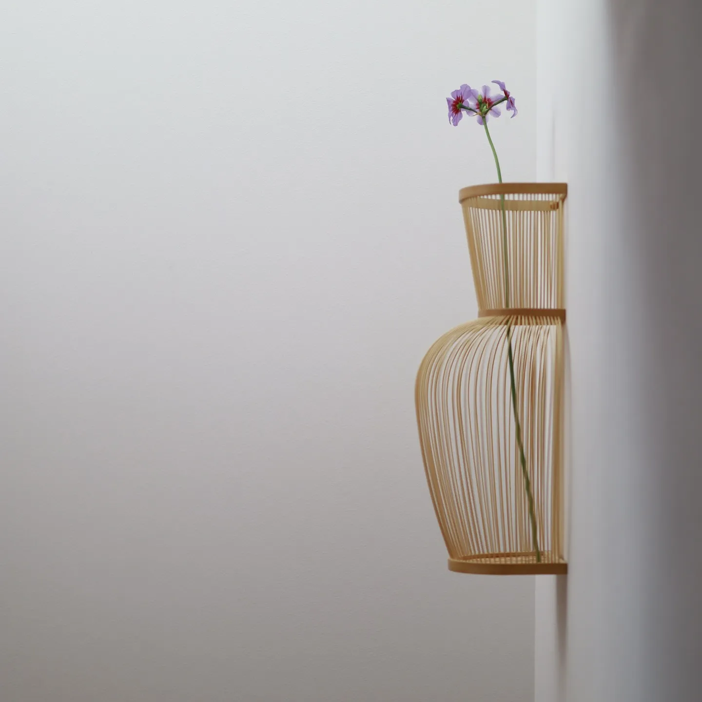 伝統を、自由に愉しむ。