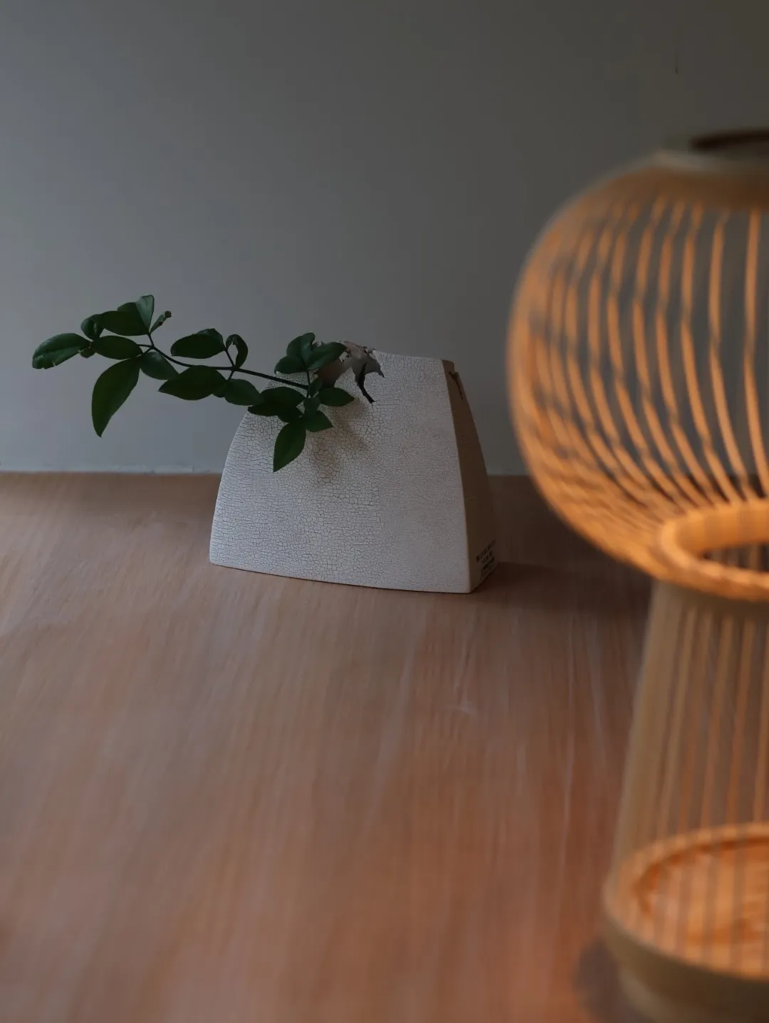 作家紹介：五月女 寛（Hiroshi Saotome）